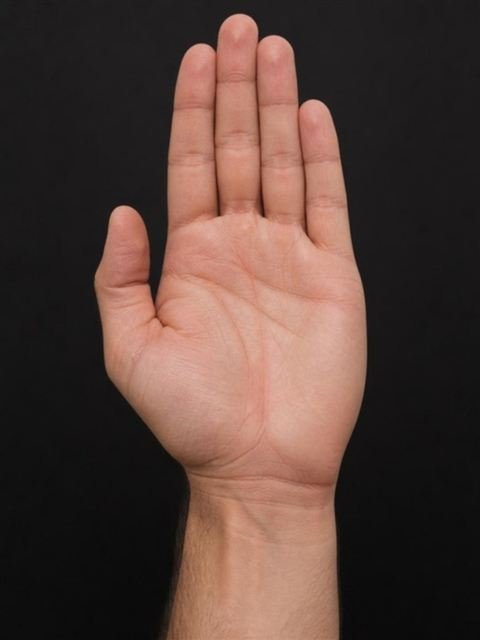 Palma de la mano colérico