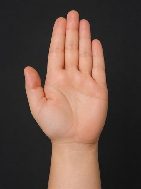 Palma de la mano flemático
