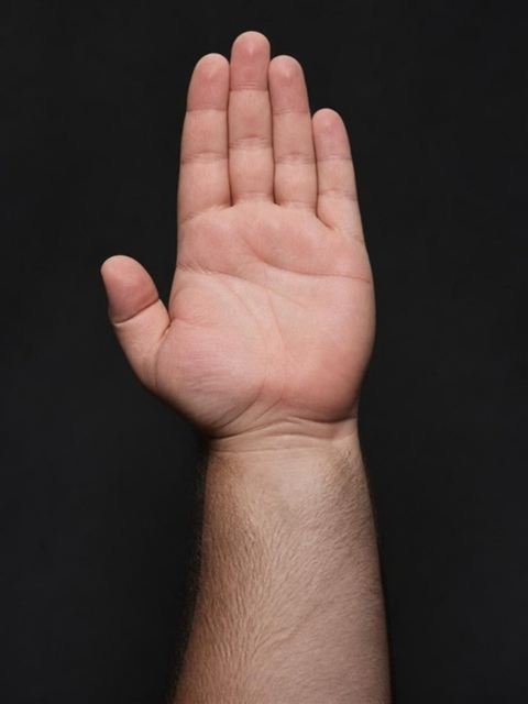 Palma de la mano sanguíneo